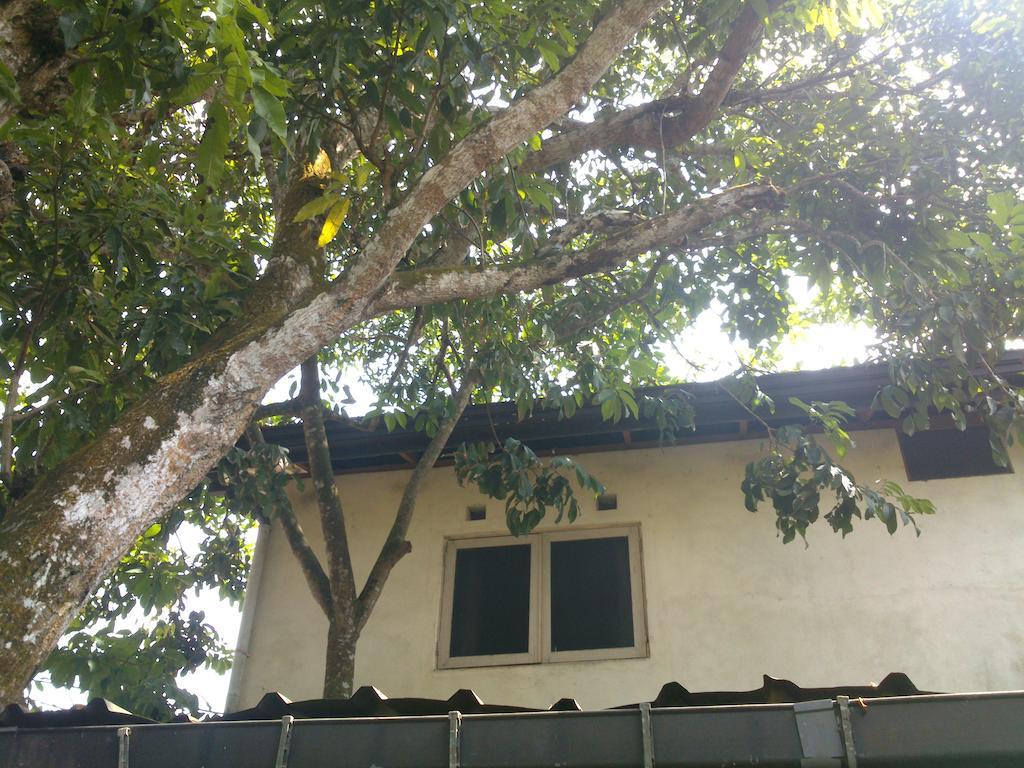 Anne'S Maisonnette Galle Bagian luar foto